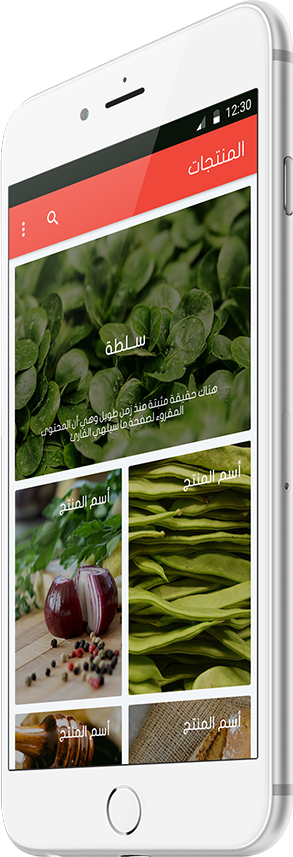 application_picture_on_mobile_side_view